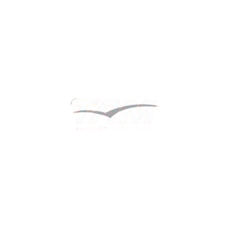 TAM